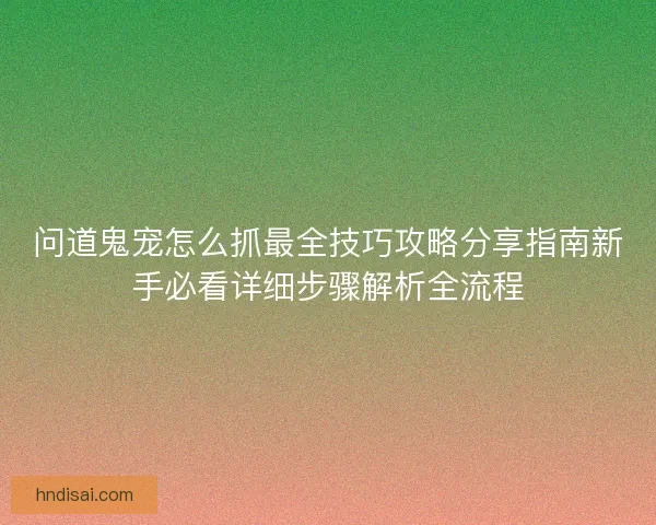 问道鬼宠怎么抓最全技巧攻略分享指南新手必看详细步骤解析全流程